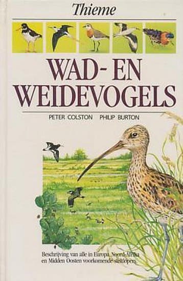 Wad- en weidevogels / Thiemes natuurgidsen 9789052100111, Verzenden, Colston