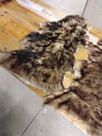 Schaap Taxidermie volledige montage - Pecora - 2 cm - 40 cm