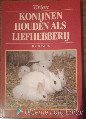 KONIJNEN HOUDEN ALS LIEFHEBBERIJ 9789052101255 R. Kooistra, Verzenden, R. Kooistra