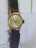 Denise - Sans prix de réserve - Femme - 1960-1969, Handtassen en Accessoires, Horloges | Heren, Nieuw