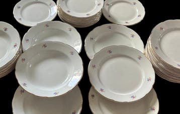 S.C.Richard - Tafelservies (37) - Sterk aardewerk -