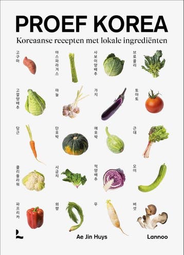 Proef Korea | Ae Jin Huys | Nieuw, Livres, Verzenden, Ae Jin Huys