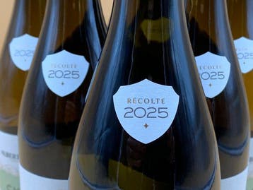 2025 Albert Bichot Domaine Long-Dépaquit - Chablis - 6, Nieuw