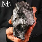 Noyau d’astéroïde - fragments de météorite ferreux -, Collections