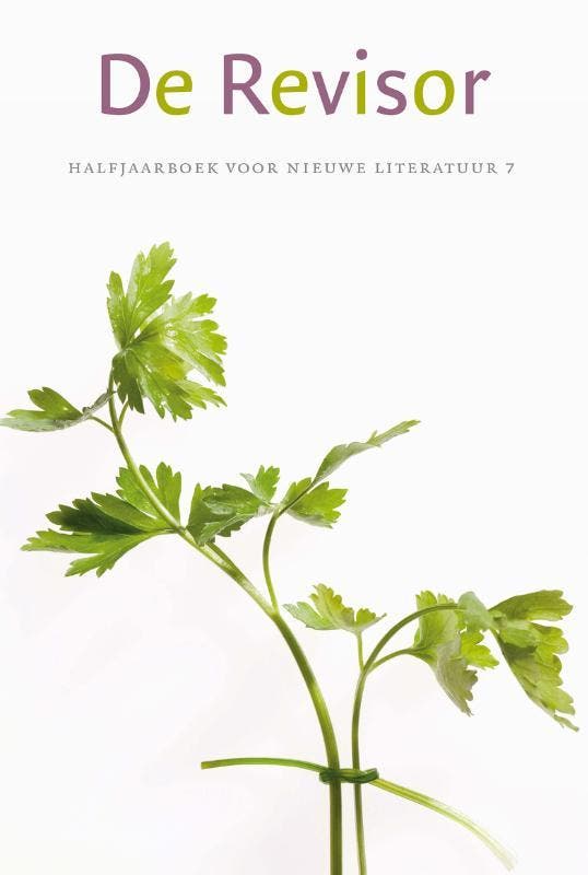 De Revisor 9789021455426 Daan Stoffelsen, Livres, Romans, Envoi
