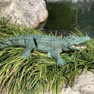 RC Krokodil met 2.4G Afstandsbediening - Waterdicht, Verzenden