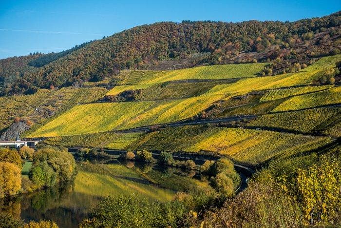 2009 Grans-Fassian, Piesporter Goldtröpfchen Riesling -, Collections, Vins