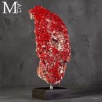 Corail rouge géant - Tubipora Musica - Échantillon de