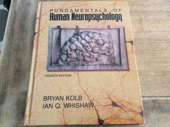 Fundamentals of human neuropsychology 9780716723875, Boeken, Taal | Engels, Gelezen, Verzenden
