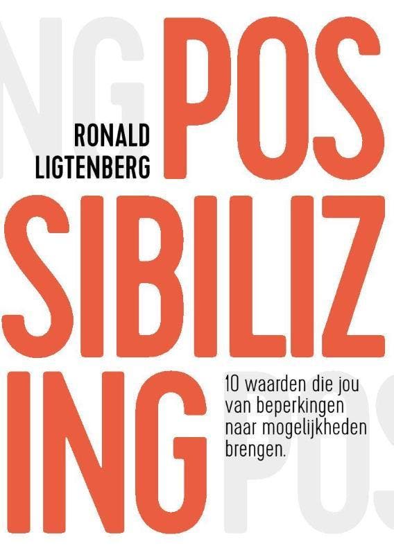 Possibilizing 9789082675900 Ronald Ligtenberg, Livres, Économie, Management & Marketing, Envoi