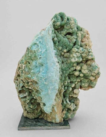 Uitzonderlijk museumwaardig tweekleurig monster –