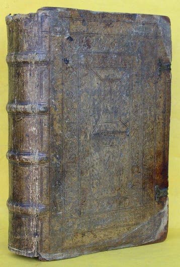 Mario Nizoli - Latinae linguae dictionarium sive de