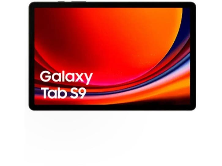 Samsung Galaxy Tab S9 - Tablet - 8GB RAM 128GB - Grafiet, Computers en Software, Android Tablets, Zo goed als nieuw, Verzenden