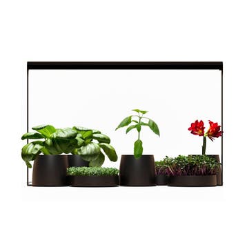 Mother Plantspectrum 16, Verzenden