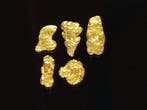 Briljante sieraden Goudklompjes - Yukon/Canada Goud nuggets-