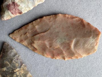 Sahara Silex Pijlpunt (Zonder minimumprijs)