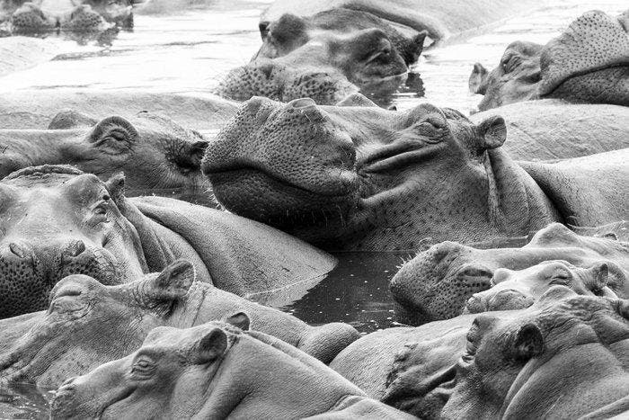 Marco Simoni - 1825 psi, Antiquités & Art, Art | Objets design