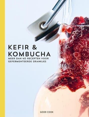 Kefir & kombucha 9789461432049 Sebastian Landaeus, Verzenden, Zo goed als nieuw, Sebastian Landaeus