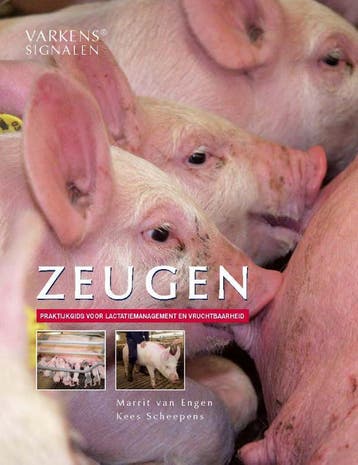 Zeugen | Marrit Engen; Kees Scheepens | Nieuw, Verzenden, Nieuw, Marrit Engen; Kees Scheepens