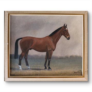 Harry van Zomeren (1945) - Bruin paard