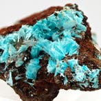 AURICALCITE AZZURRA, Toscane Kristallen op matrix - Hoogte: