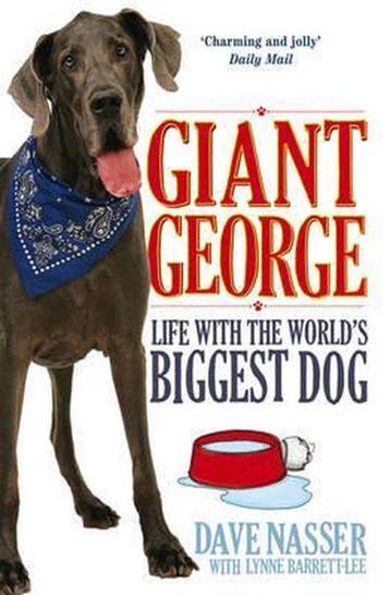 Giant George 9781849832823 Dave Nasser, Verzenden, Gelezen, Dave Nasser