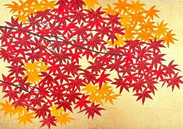 LATEST WORK - Momiji 5 (Japanese Maple) - Limited 5/300 -