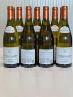 2020 Patriarche. Mâcon-Villages - Bourgogne - 12 Bouteilles, Nieuw