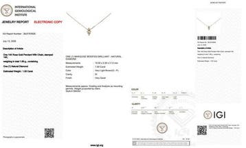 Zonder minimumprijs - Ketting met hanger - 14 karaat