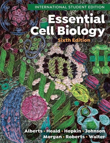 Essential Cell Biology 9781324033394 Alexander Johnson, Verzenden, Alexander Johnson