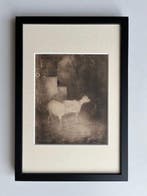 Jan Mankes (1889-1920) - Twee geitjes in Bosch