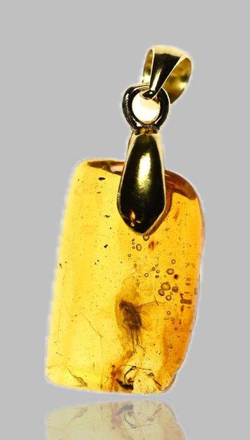 Pendentif en ambre baltique plaqué or - avec une inclusion
