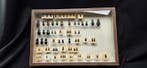 French antique Beetles ex BEON Yvonne collection - circa