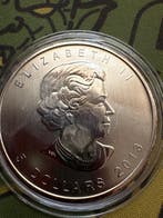 Canada. 5 Dollars 2013 Bison (Sans prix de réserve)