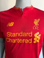 Liverpool - Championnat dAngleterre de Football - 2016 -