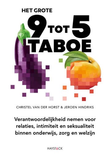 Het grote 9 tot 5 taboe 9789461265883 Christel van der Horst, Verzenden, Zo goed als nieuw, Christel van der Horst