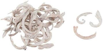 Coco Slices Repen Frosted White Wash zak 250 gram