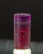 Zeldzame Purple Cap, Rubellite Crystal • 3,65 ct • Neon, Verzamelen
