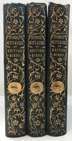 Rev. F. O. Morris - A Natural History of the Nests and Eggs