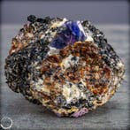 Natuurlijke grote saffierkristal op Matrix - 662,25 ct-