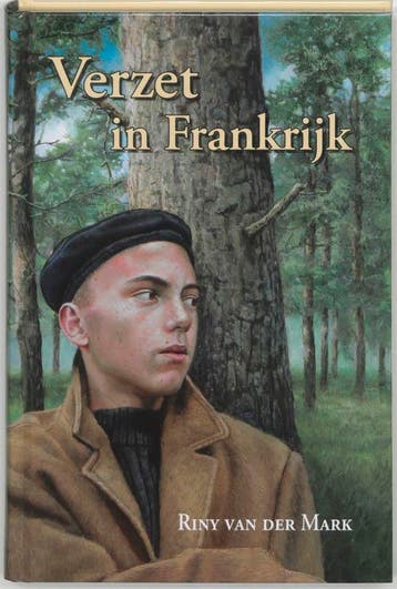 VERZET IN FRANKRIJK 9789033118739 R. van der Mark, Verzenden, Gelezen, R. van der Mark