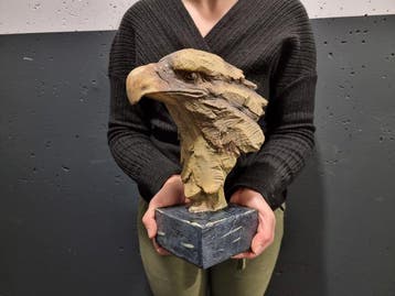 Beeld, Large Eagle Head - 28 cm - mgo