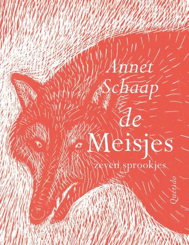 De meisjes 9789045126692 Annet Schaap, Boeken, Kinderboeken | Jeugd | 10 tot 12 jaar, Gelezen, Verzenden