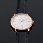 Norton - Cicerone - Sans prix de réserve - Homme - 2026