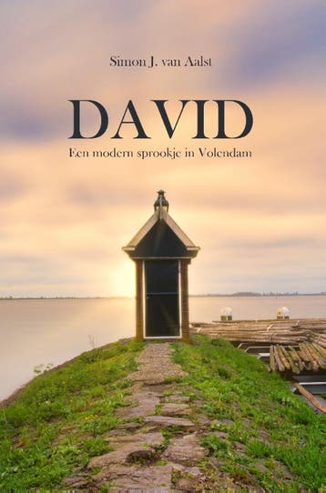 David 9789464034042 Simon van Aalst, Verzenden, Simon van Aalst