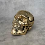 Mitch Richmond (1983) - Carpe Diem (Life Size)