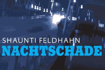 Nachtschade / Dwarsligger / 238 9789460730214, Boeken, Thrillers, Verzenden, Gelezen, Shaunti Feldhahn