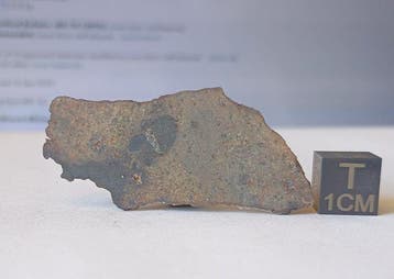 NWA 17700 - météorite lunaire (brèche de fusion
