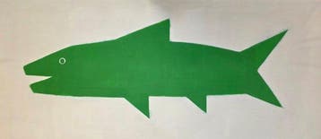 Hamelink - Green shark