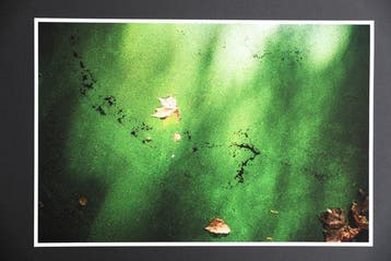 Viet Ha Tran - The infinite silence